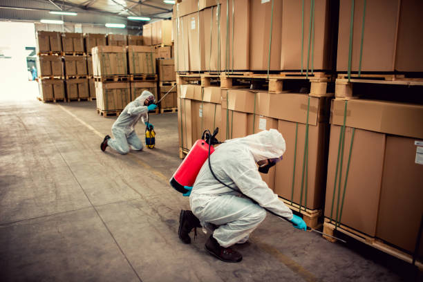 Best Residential Pest Control  in Copeland, OK
