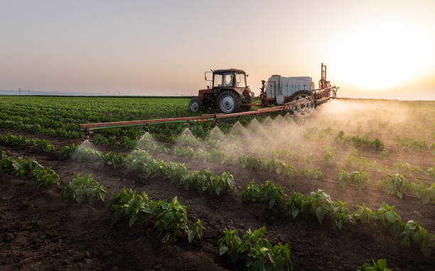 Best Commercial Pest Control Services  in Copeland, OK