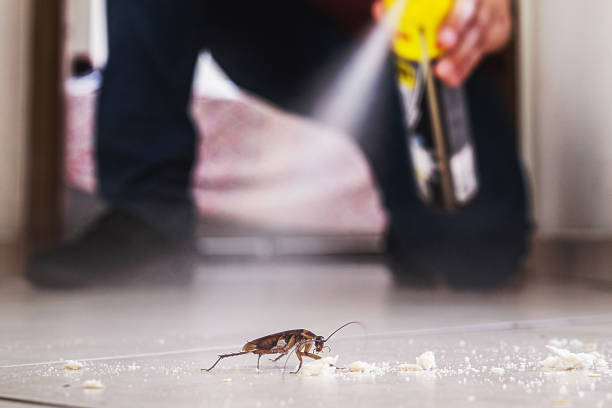 Best Pest Control Near Me in Copeland, OK