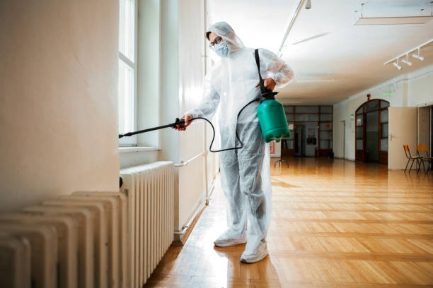 Best Ant Control Services  in Copeland, OK